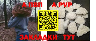 прущие грибы Малгобек