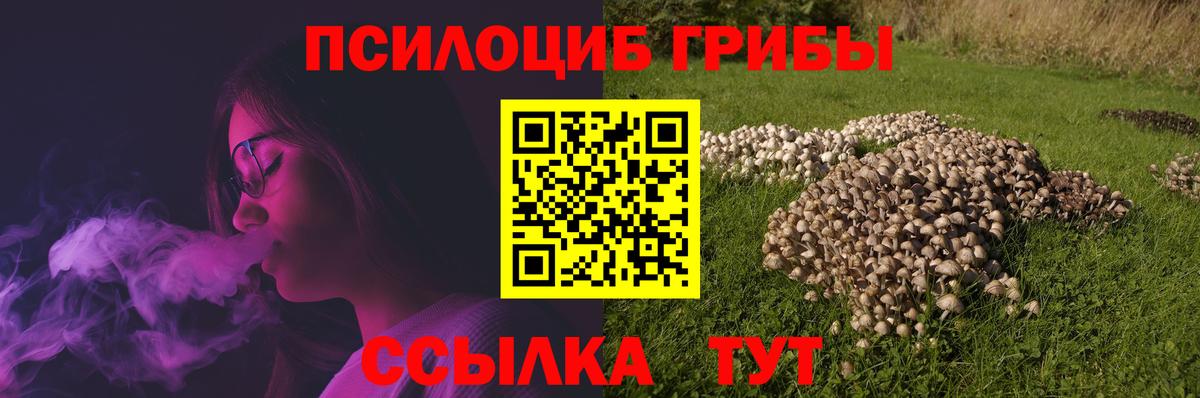 Галлюциногенные грибы MAGIC MUSHROOMS  сколько стоит  Свободный  Вход с VPN  Галлюциногенные грибы Psilocybe 